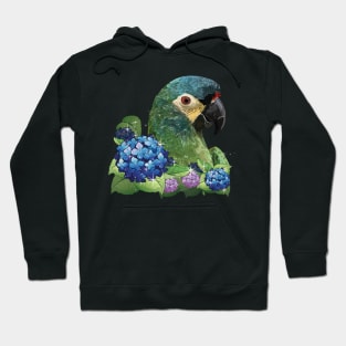 Severe macaw Hoodie